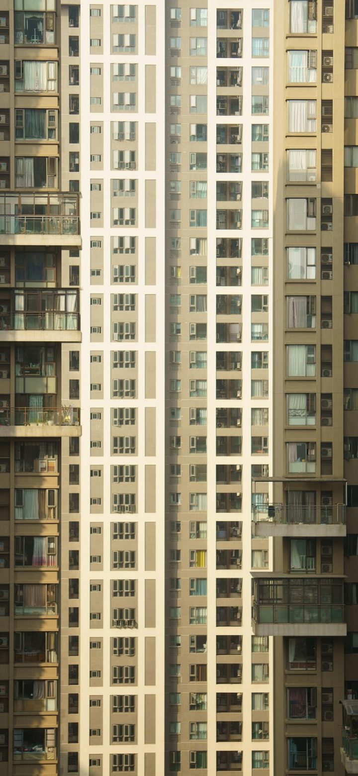 蔚蓝档案 App 首页竖屏界面示意：顶部是带放大镜图标的搜索栏，下方依次排列资料、阵容、剧情、活动四张入口卡片